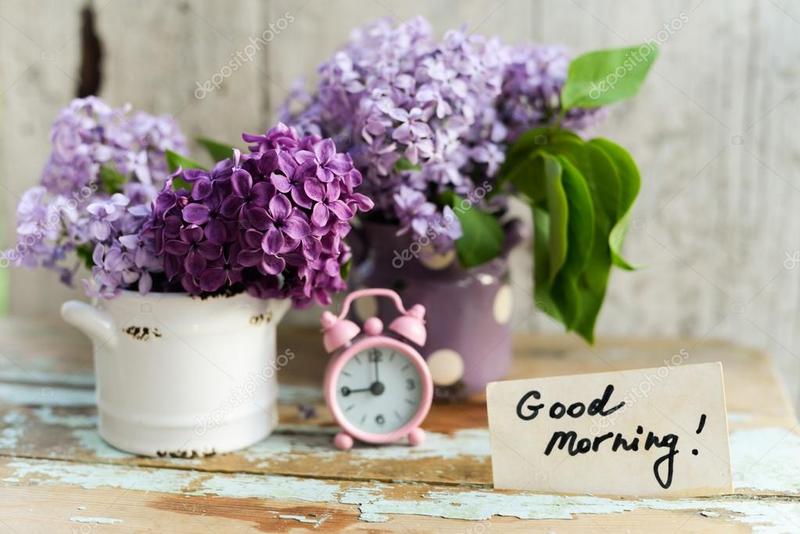 depositphotos-55371325-stock-photo-two-tone-lilac-flowers-with