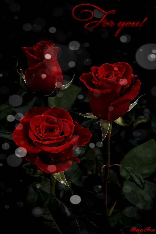0-c4399-a3d3aa72-orig