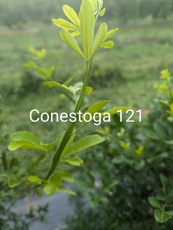 PXL_20240716_221035498~2