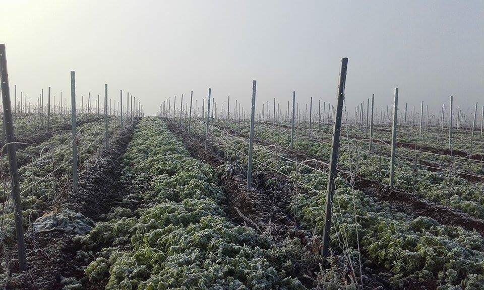 received_10203932958362575