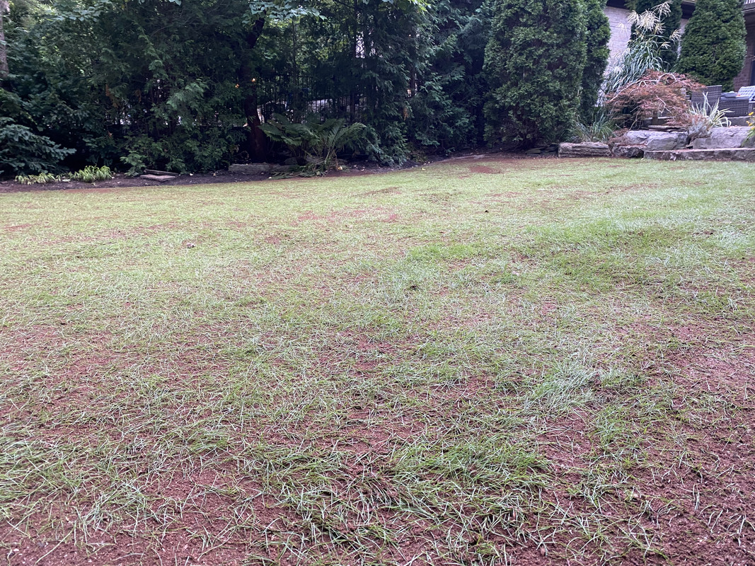 B3D41993-4695-496D-A16E-E29C8965B1CB