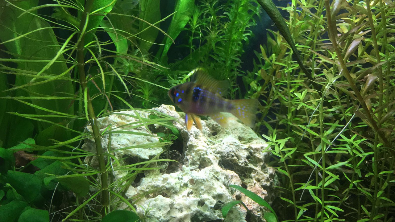 WhatsApp Image 2018-06-21 at 15.26.33 (1)