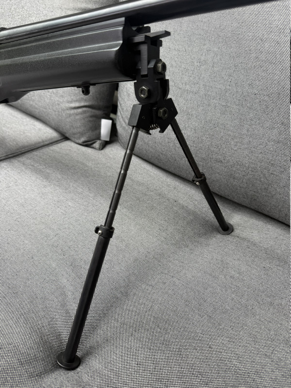 Graviertes Gewehr Ansicht 6