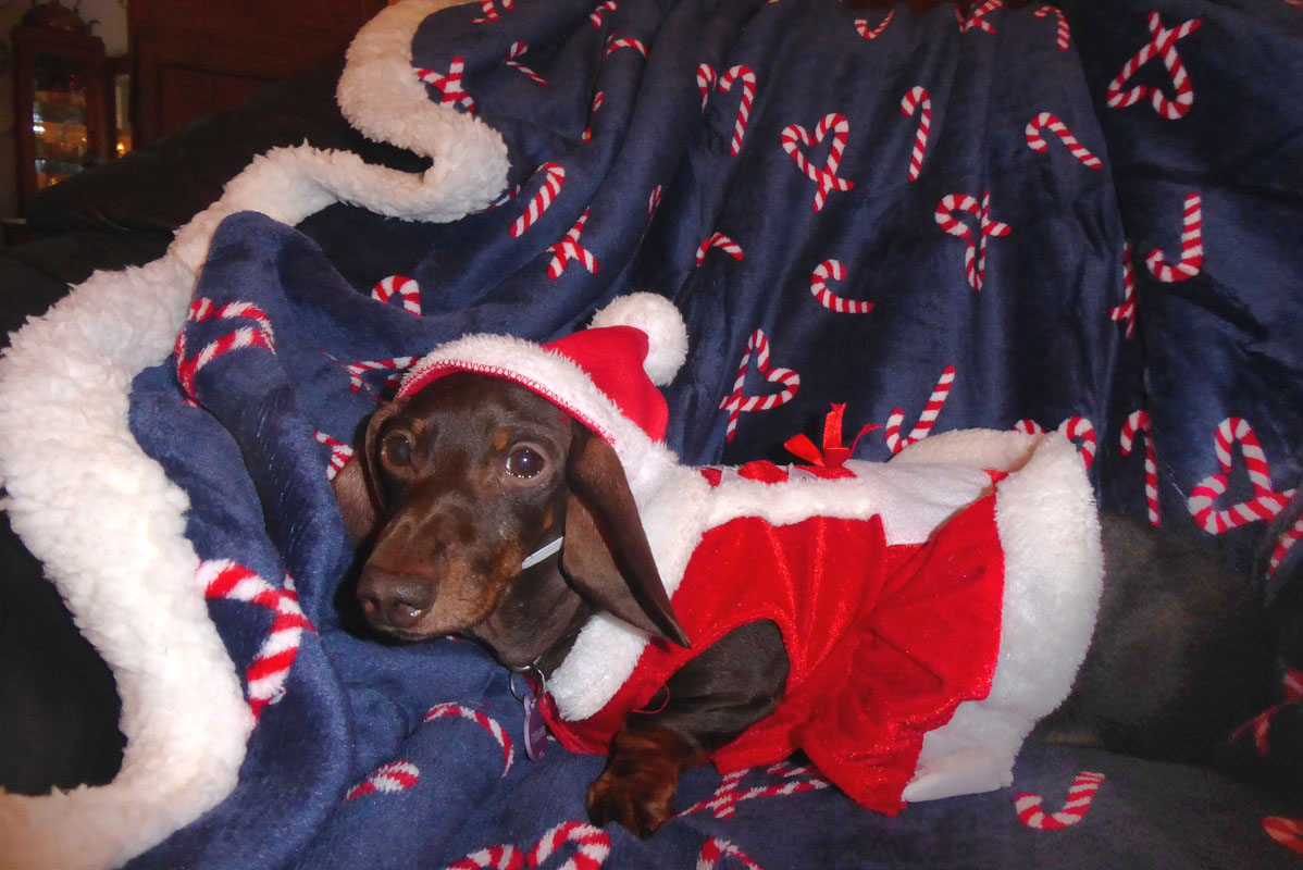 [Image: P1040254.jpg]