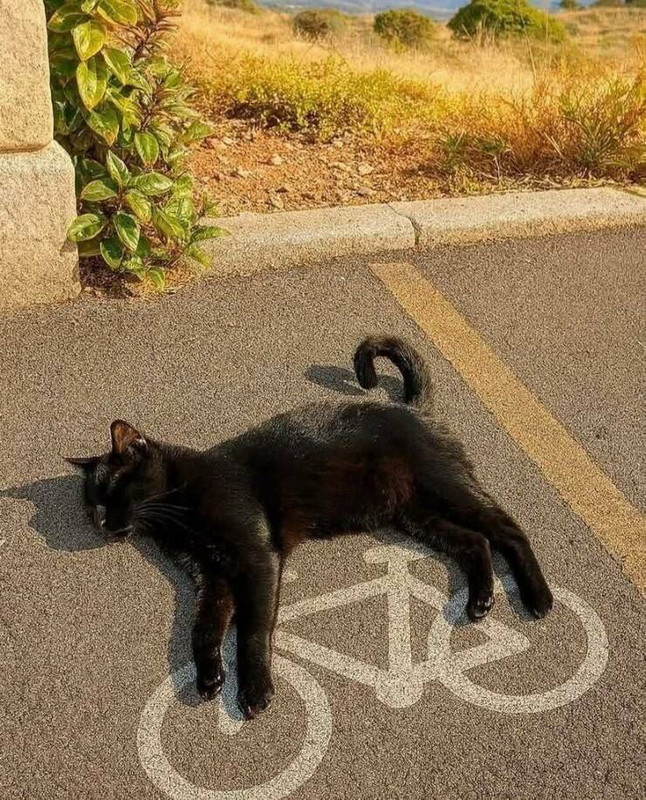 morning-picdump-34-8.jpg