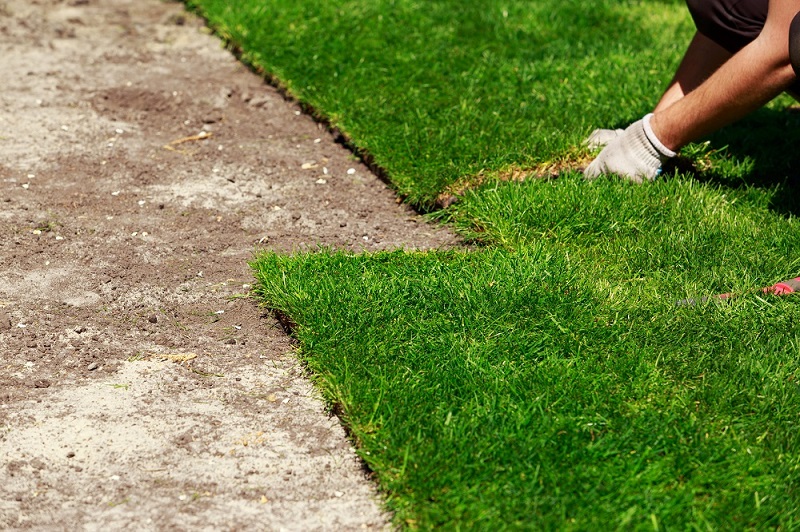 Synthetic Grass Installation Synthetic Grass Installation
