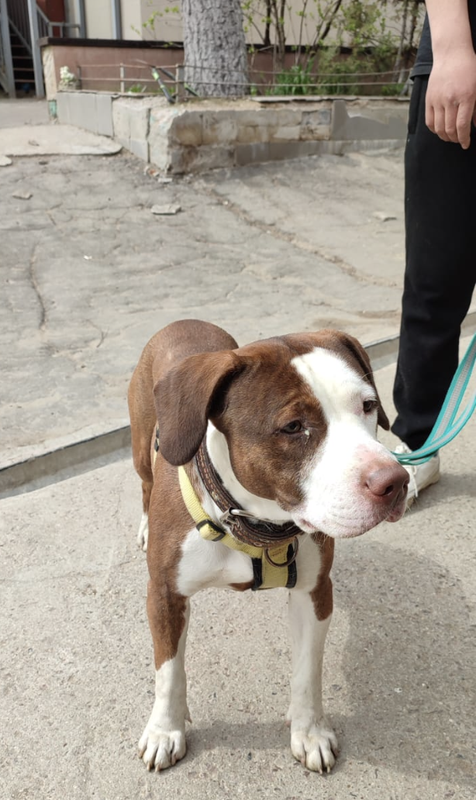 Снимок экрана 2024-04-27 в 09.23.10