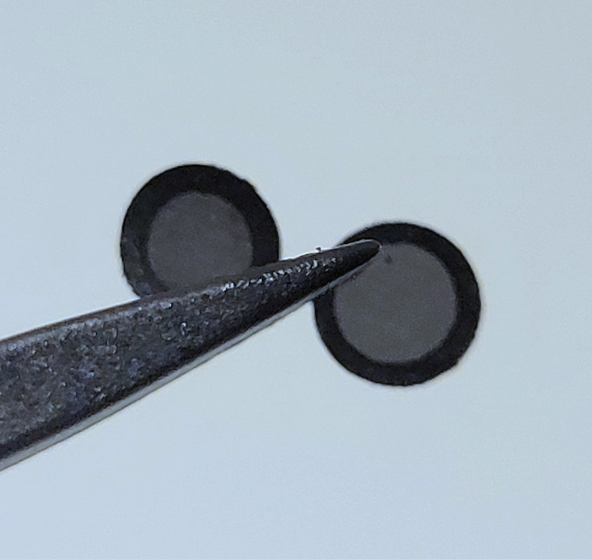 Tanchjim Filter, or just a 500 mesh filter?