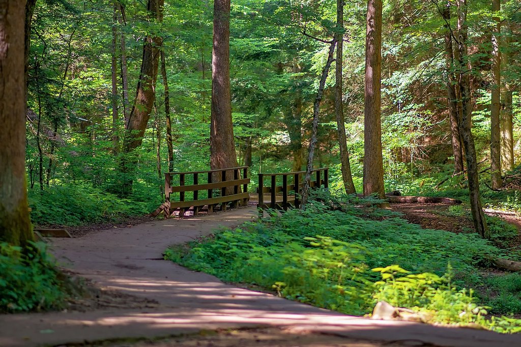 green-woods.jpg