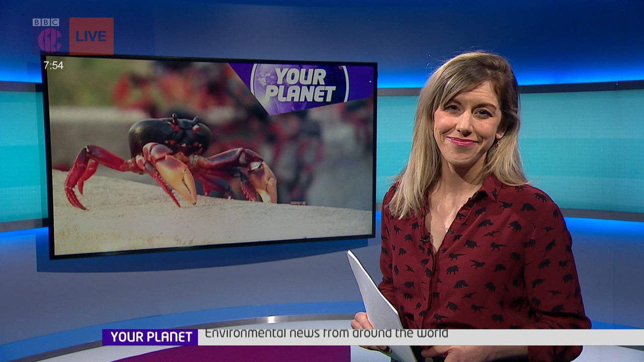 Newsround_20220330_07450755.ts_snapshot_10.37.911