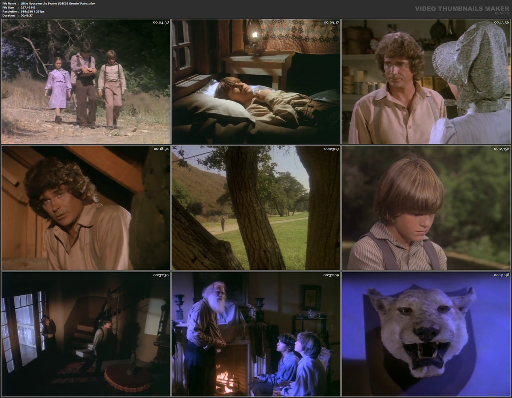 Little House on the Prairie S08E03 Growin' Pains.mkv