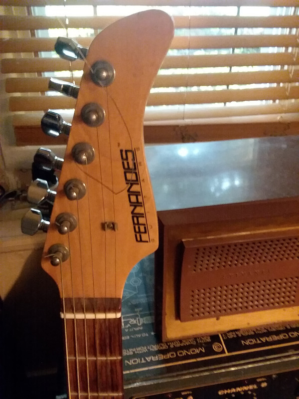 fernandes guitars serial number fernandes guitars serial number