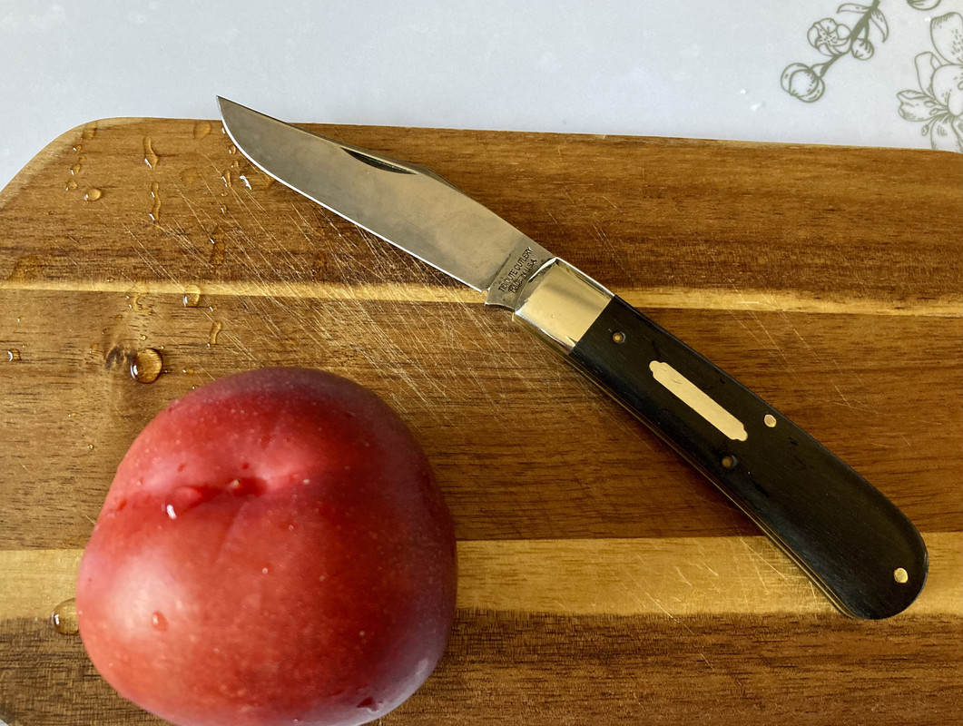 D7337DDB-7426-4068-8E7E-AE475CEC18D1