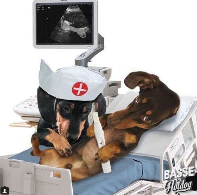 [Image: r-tablissement-15.jpg]