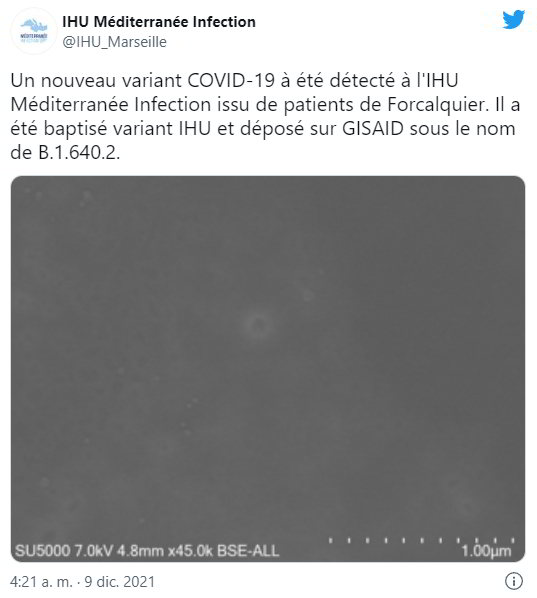 variante covid mutazione coronavirus francia