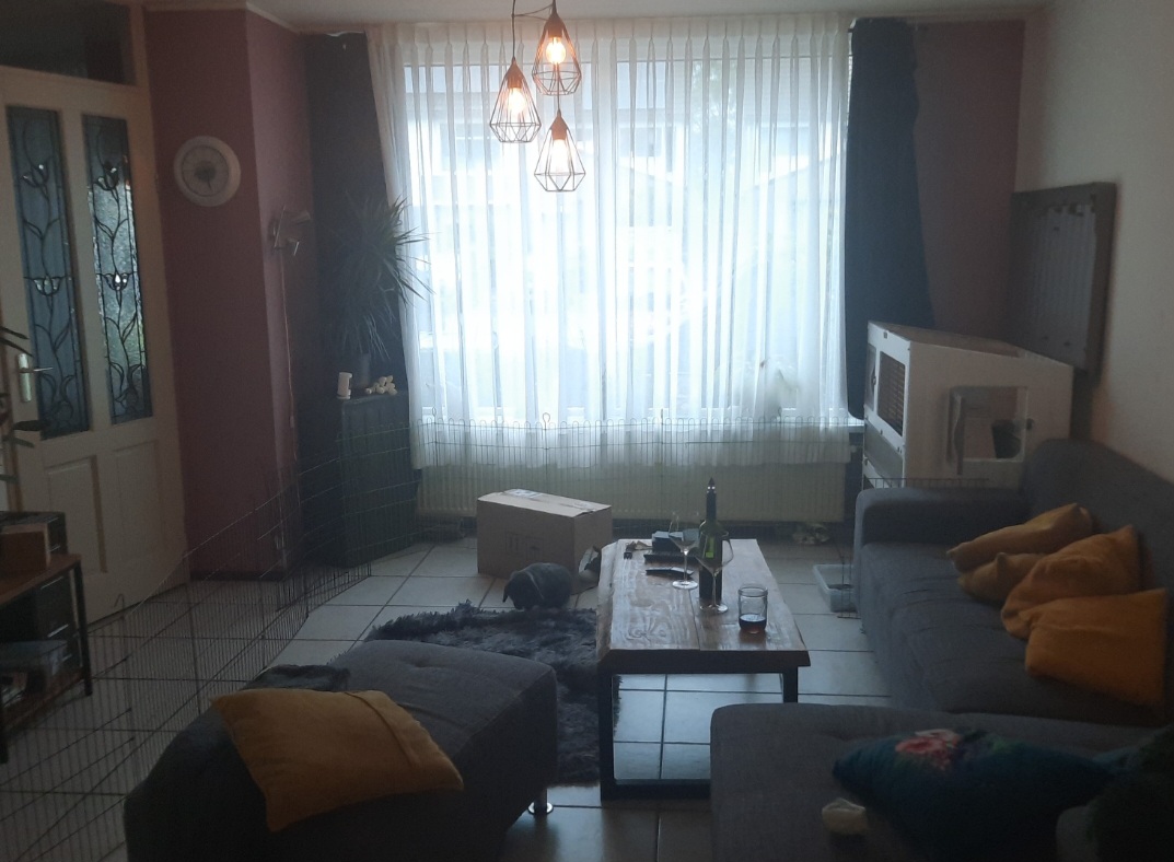 Screenshot-20240817-110442-Gallery.jpg