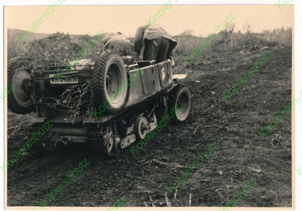 Altes orig. Foto Gebirgsjäger Norwegen Finnland 