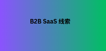 B2B SaaS 线索