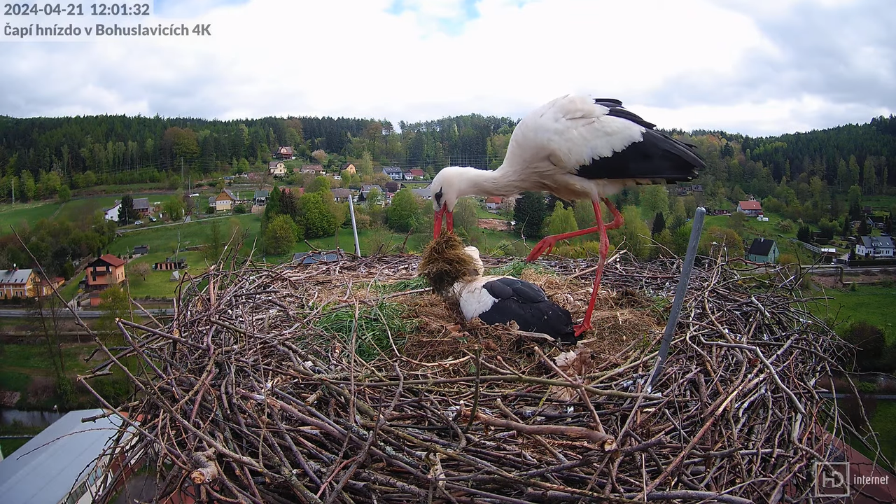 Tiešraidē no uzņēmuma KARA stārķa skursteņa Bohuslavicē pie Trutnovas 9-43-36 screenshot