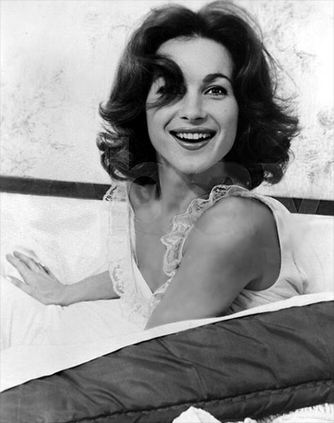 shirley_ann_field_a14