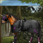 Entry-6.png