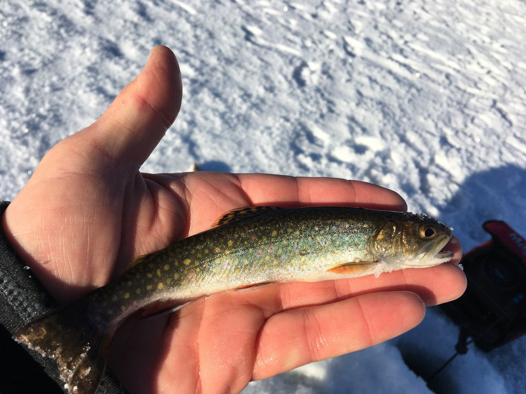 19DDB43C-559C-4642-9754-A54CFD6D40A5