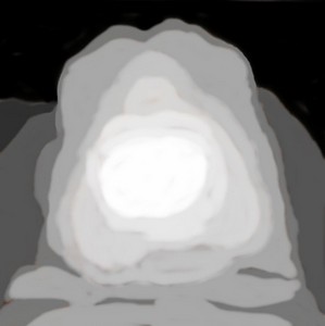 20190120-184615-depth