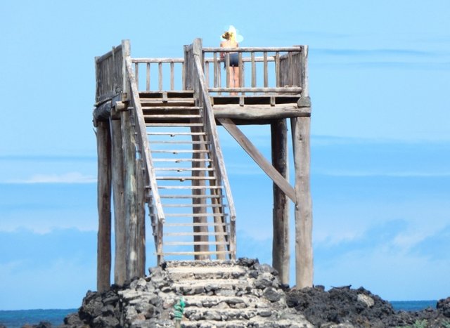 Galápagos 2022 - Blogs de Ecuador - Día 9 (27 de junio): Isabela (5)