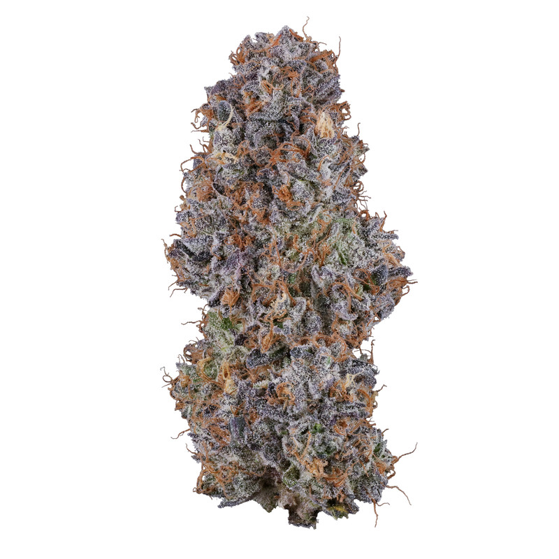 Rainbow Belts Indica cannabis strain – purple and blue hues