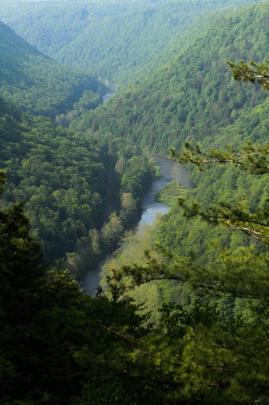 Pine Creek