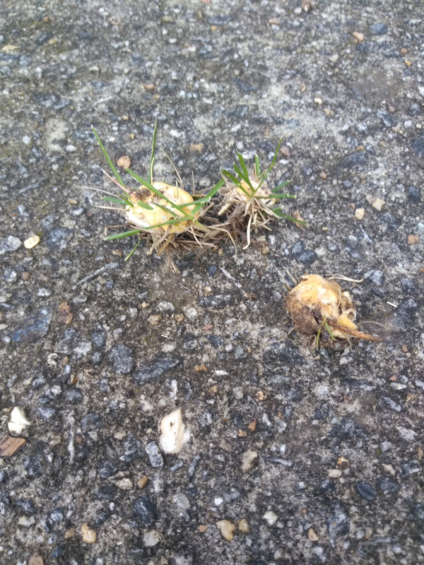 IMG_20200907_185912801