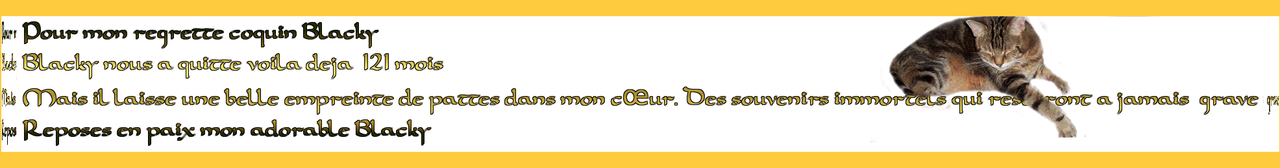 121-mois-blacky