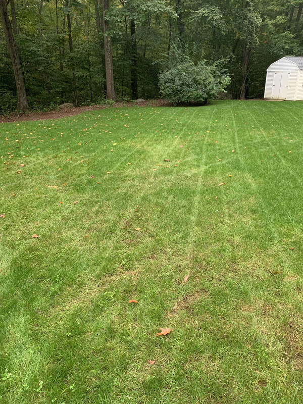 B8A19848-FF31-4EB2-930E-07286E1DDAA1