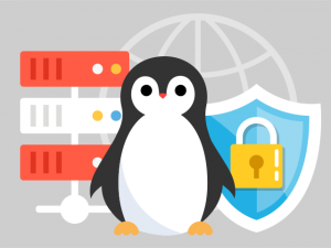 Secure your Linux VPS Secure your Linux VPS