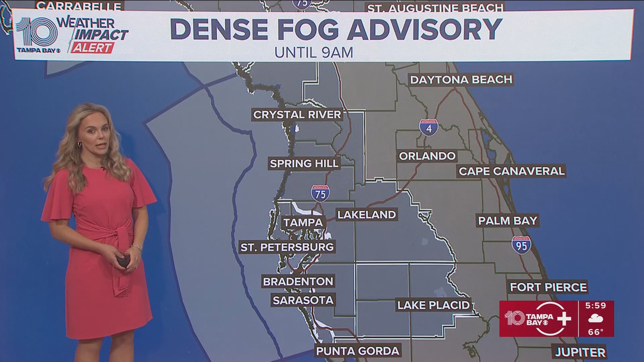 10 Tampa Bay News This Morning at 600 a m 20251124 11001200 ts snapshot 00 36 217
