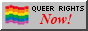 Button with the gay flag on the left side that reads queer rights now with the now text being red