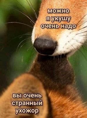 6170bf4da6e4012a1a4c058d0dd03b9f