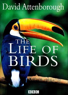 David-Attenborough-The-Life-of-Birds-1998.jpg