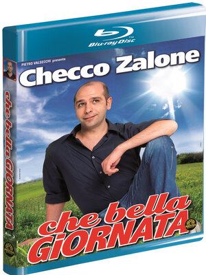 Che bella giornata (2011) .avi BDRip AC3 iTA