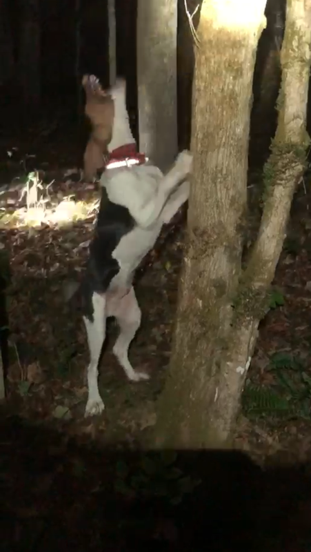 088F84B7-2ABC-4335-87F6-88155D413801