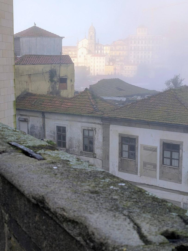 644121604 25574959832203646 8712688934210122137 n