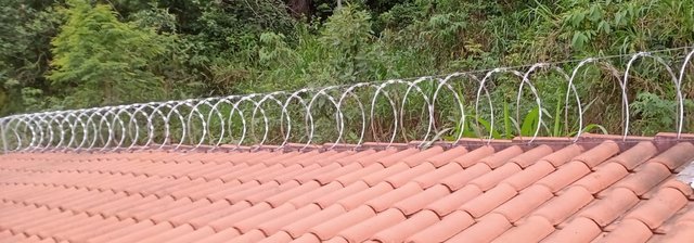 Concertina Vista Geral em Residência