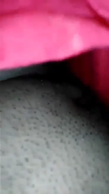video-capture-198-66seg-117.png