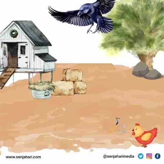 Alasan Ayam Berkokok
