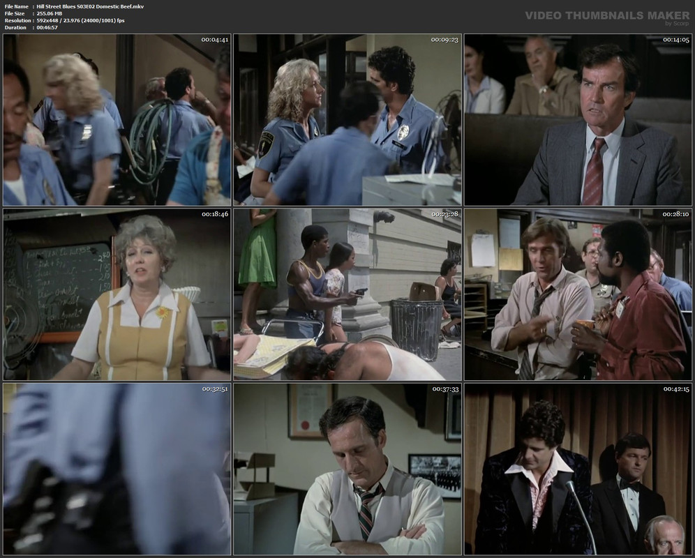 Hill Street Blues S03E02 Domestic Beef.mkv