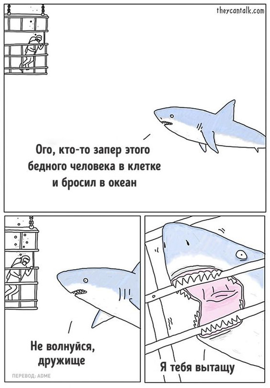 418b3c06f84e64e069feb12096c0658c