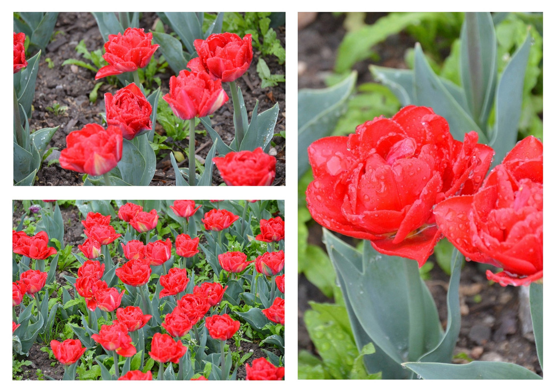 Новый коллаж.jpg 7