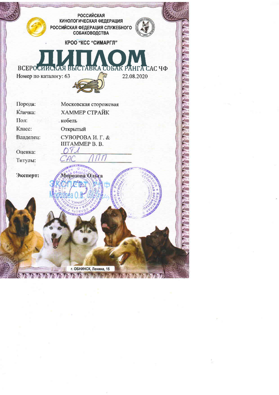 22.08.2020 Морозова диплом