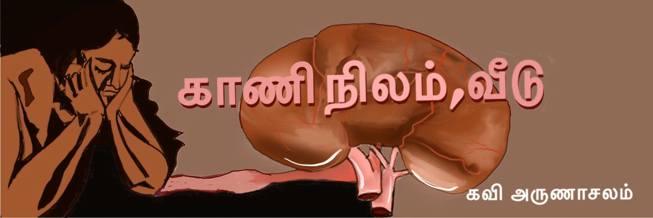 77-E4-E1-CE-3989-4-F5-E-AF64-A6-B24-B6-B