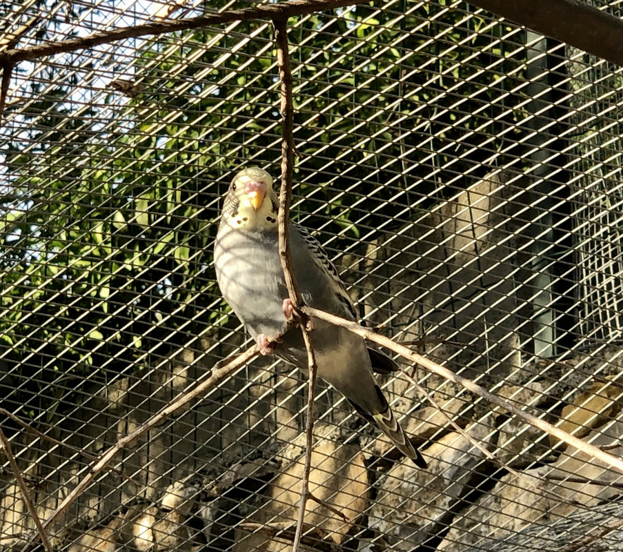 4841D418-A9C6-43D1-A7D4-1BBB5B6F08E8